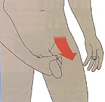 latihan jelqing cara memperpanjang penis